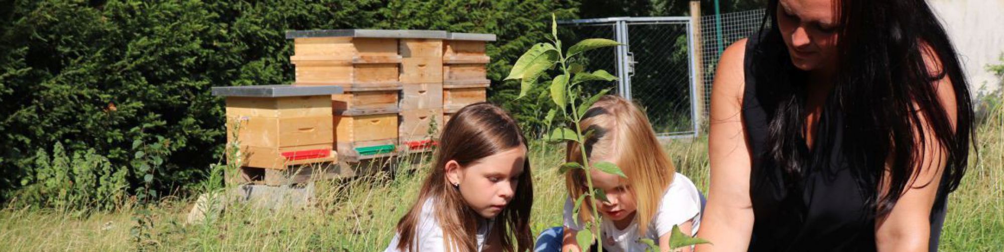 Frau sitzt mit zwei Kindern auf einer Wiese und pflanzt einen Baum. Im Hintergrund sind Bienenstöcke und ein Holzhaus zu sehen.
