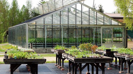 Glashaus, davor Hochbeete mit Pflanzen