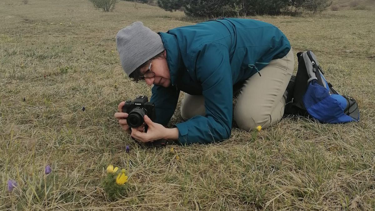 Frau auf einer Wiese beim Fotografieren von Pflanzen