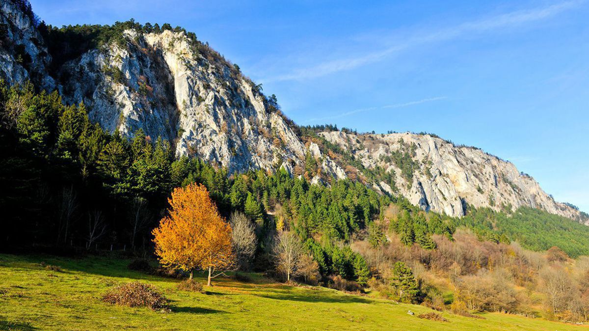 Wiese mit der Hohen Wand im Hintergrund bei Sonnenschein