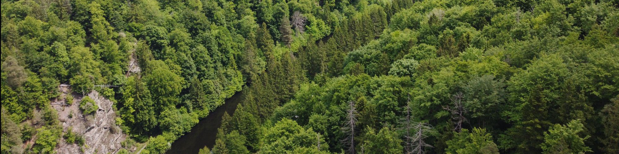 Kampwald