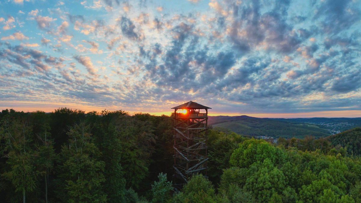 Blick in den Naturpark Purkersdorf mit der Aussichtswarte zentral im Bild, es herrscht eine angenehme Abendstimmung mit Sonnenuntergang.