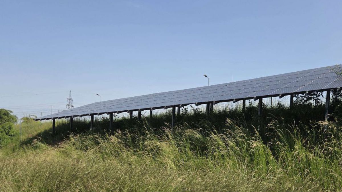 Eine Verkehrsbegleitfläche wird als PV-Sonneninsel in Tradenberg West (Gemeinde Stetten) weiter genutzt. 
