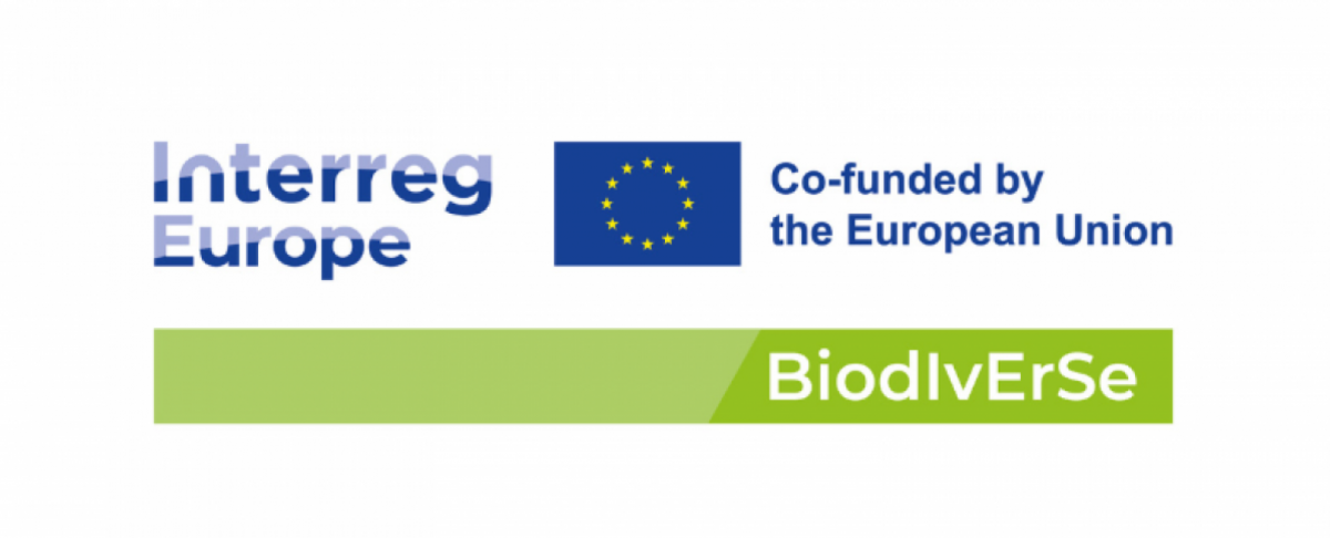 BiodIvErSe Projektlogo