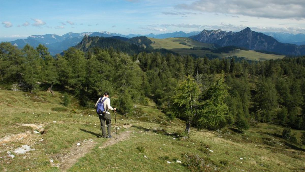 Wandernde Frau