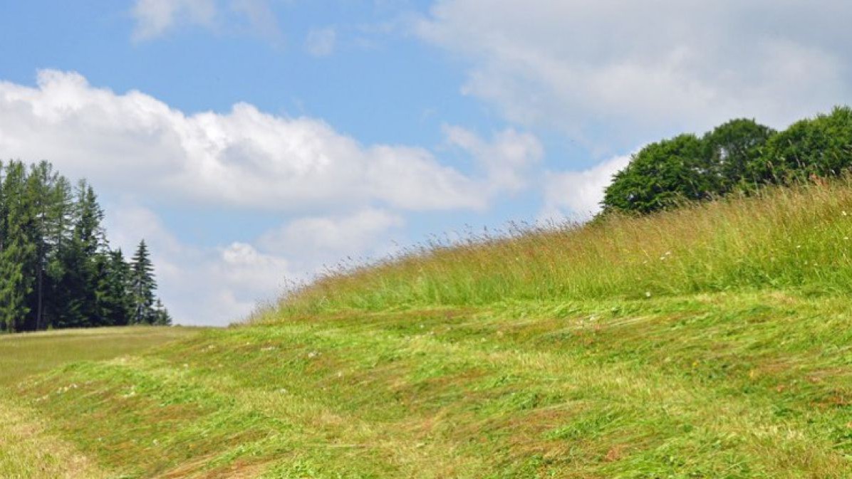 Heuernte_Fotolia_23881384_S_photo_5000