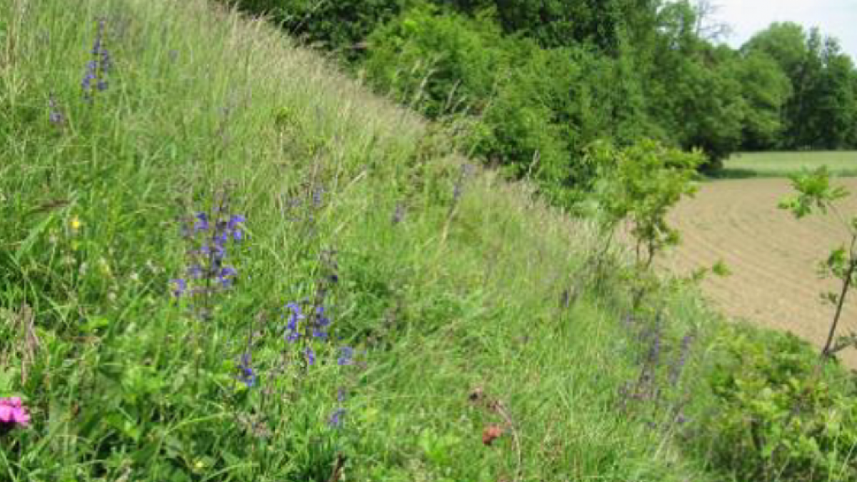 zaunbachtal