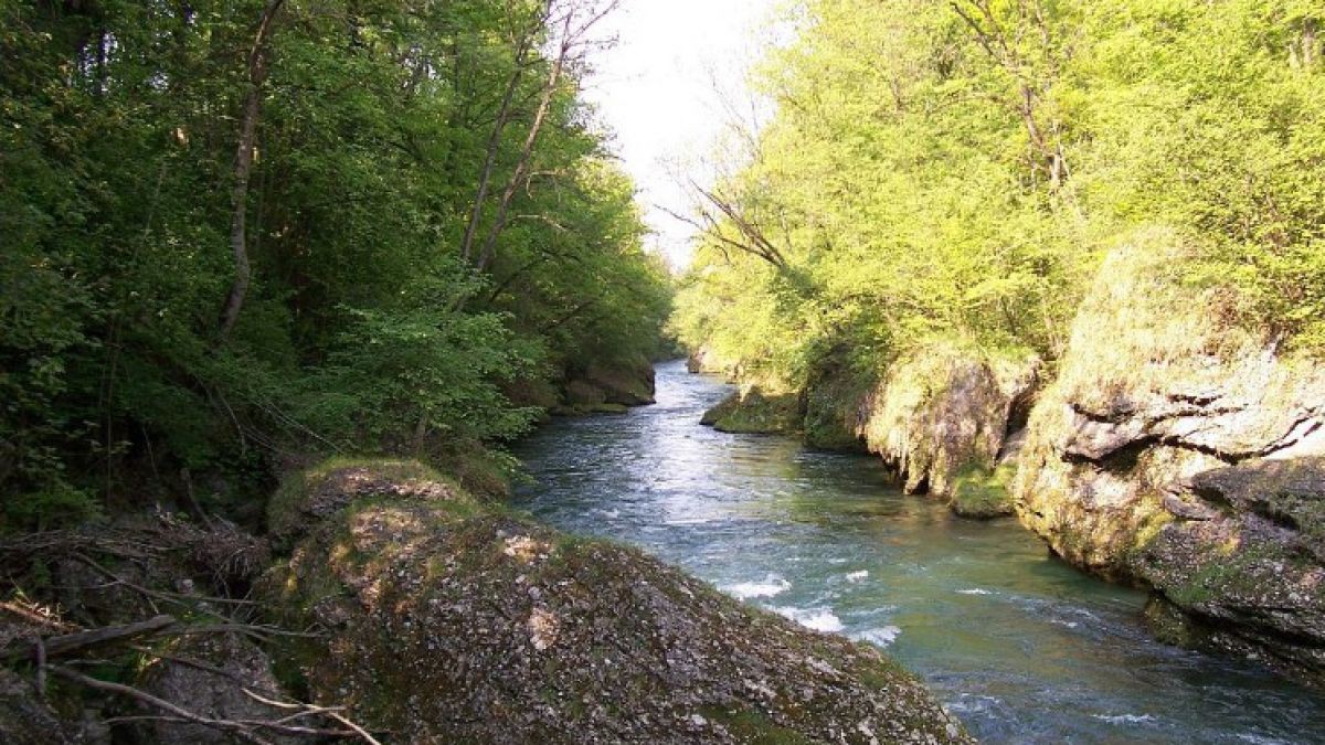 Grosse_Erlauf_Purgstall