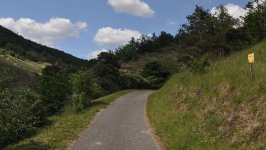 Wanderung Dürnstein am 24. Mai 2019 