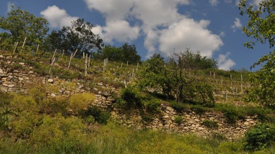 Wanderung Dürnstein am 24. Mai 2019 