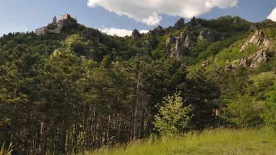 Wanderung Dürnstein am 24. Mai 2019 