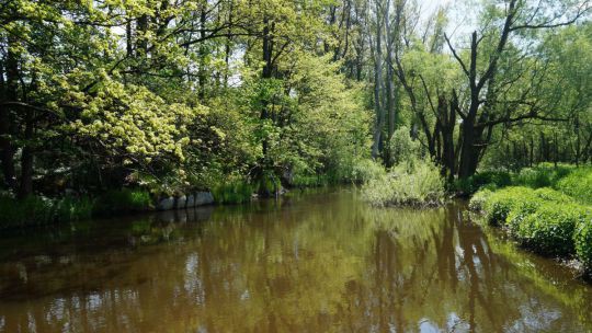 Wanderung Lainsitzniederung am 24. Mai 2019 