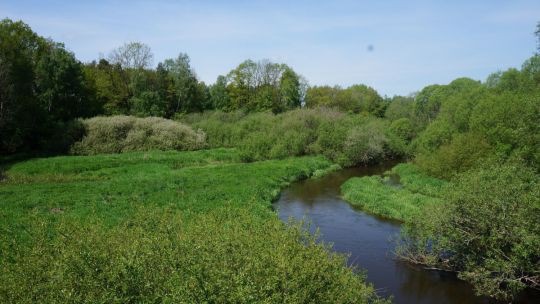 Wanderung Lainsitzniederung am 24. Mai 2019 