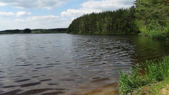 Wanderung Bruneiteich am 24. Mai 2019