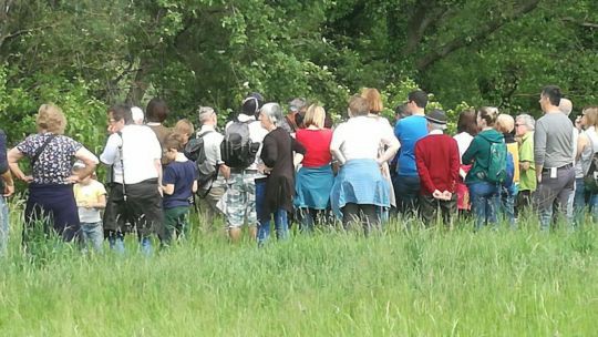 Wanderung Rindfleischberg am 24. Mai 2019