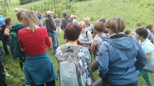 Wanderung Rindfleischberg am 24. Mai 2019