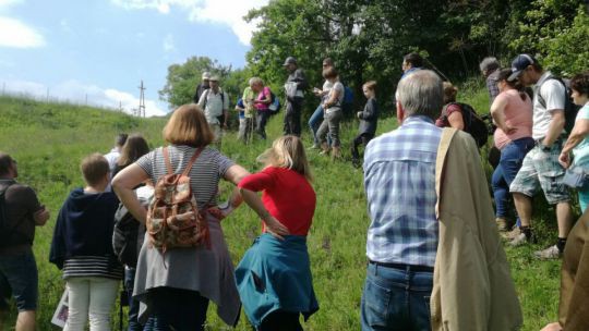 Wanderung Rindfleischberg am 24. Mai 2019