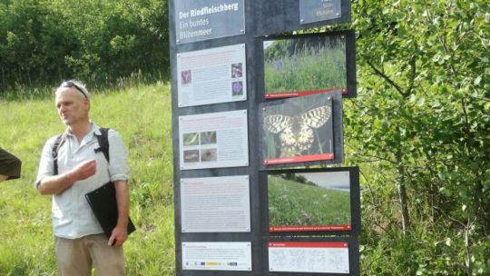 Wanderung Rindfleischberg am 24. Mai 2019