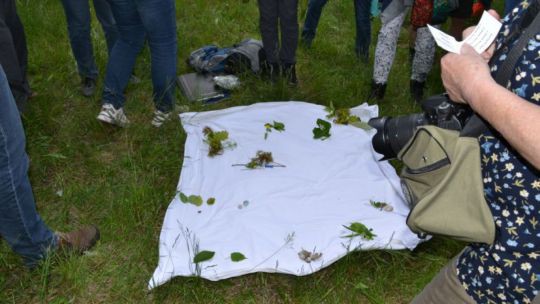 Wanderung Doislau am 24. Mai 2019