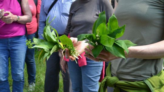 Wanderung Doislau am 24. Mai 2019