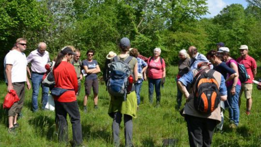 Wanderung Doislau am 24. Mai 2019