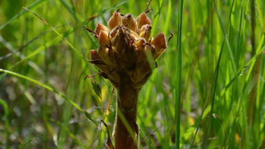 Wanderung Doislau am 24. Mai 2019