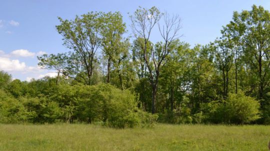 Wanderung Doislau am 24. Mai 2019