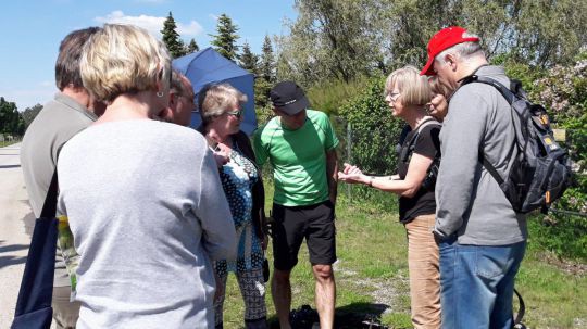 Wanderung in den March-Thaya-Auen am 24. Mai 2019