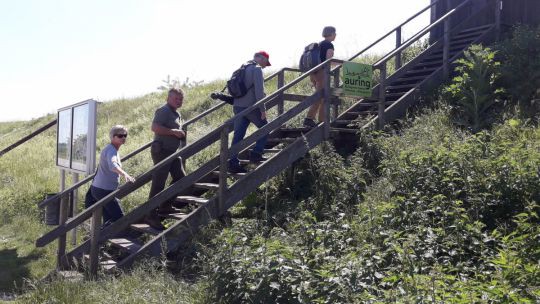 Wanderung in den March-Thaya-Auen am 24. Mai 2019