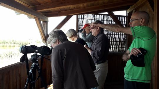 Wanderung in den March-Thaya-Auen am 24. Mai 2019