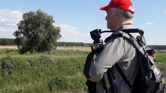 Wanderung in den March-Thaya-Auen am 24. Mai 2019