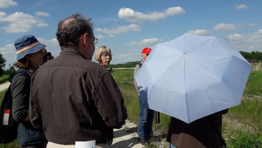 Wanderung in den March-Thaya-Auen am 24. Mai 2019