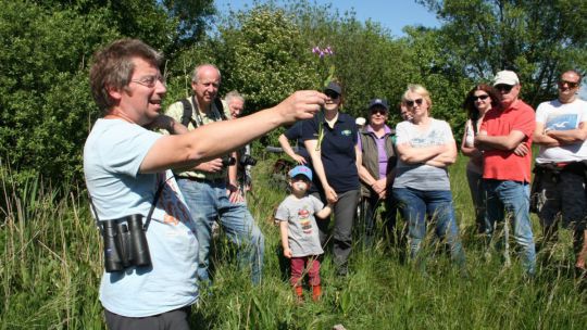 Wanderung Moosbrunn am 24. Mai 2019