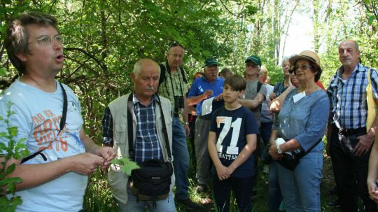 Wanderung Moosbrunn am 24. Mai 2019