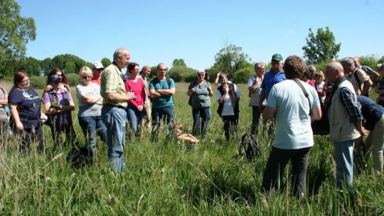 Wanderung Moosbrunn am 24. Mai 2019