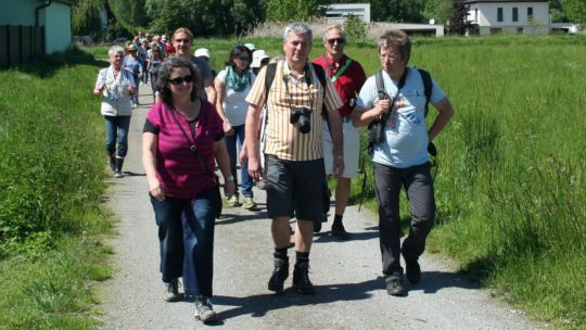 Wanderung Moosbrunn am 24. Mai 2019