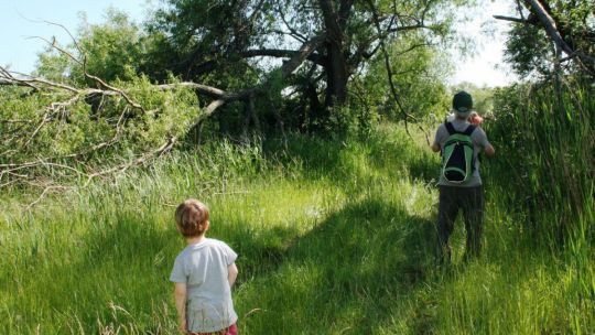 Wanderung Moosbrunn am 24. Mai 2019