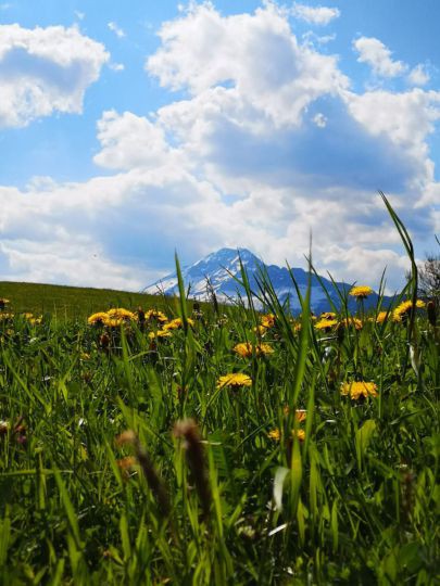 Wanderung Ötscher-Tormäuer 24. Mai 2019