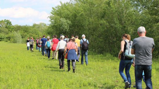 Wanderung Pielach-Ofenloch am 24. Mai 2019