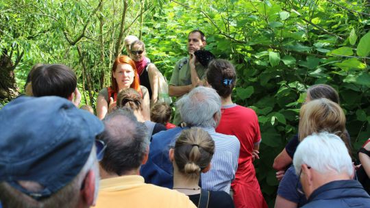 Wanderung Pielach-Ofenloch am 24. Mai 2019