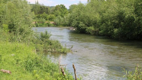 Wanderung Pielach-Ofenloch am 24. Mai 2019