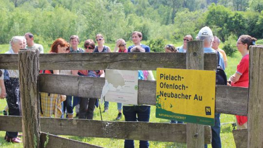 Wanderung Pielach-Ofenloch am 24. Mai 2019