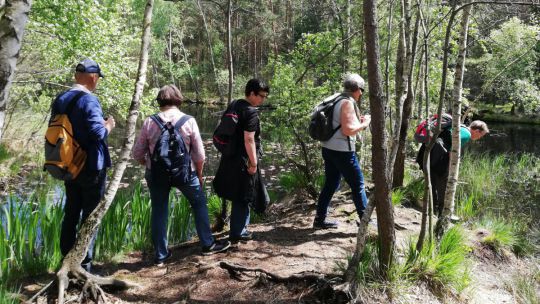 Wanderung Schrems am 24. Mai 2019