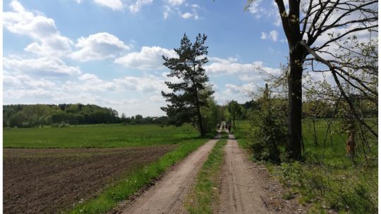 Wanderung Schrems am 24. Mai 2019