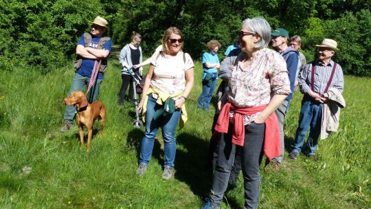 Wanderung Stockerau am 24. Mai 2019