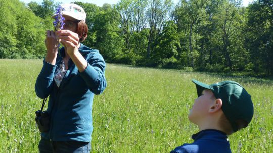 Wanderung Stockerau am 24. Mai 2019