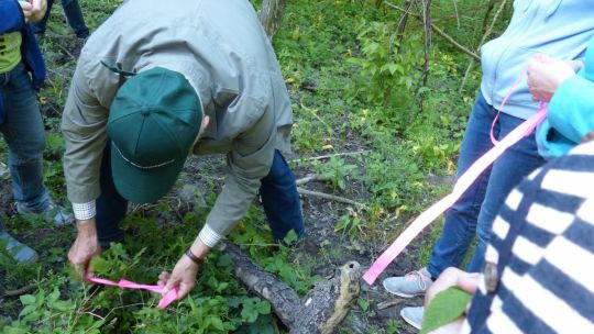 Wanderung Stockerau am 24. Mai 2019