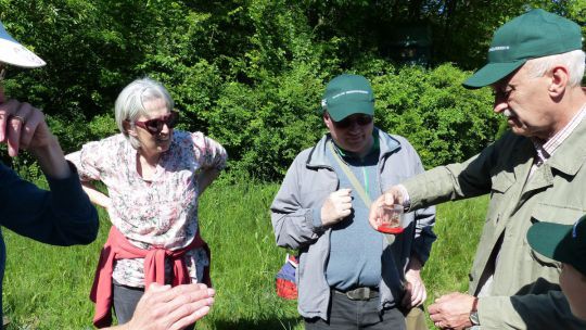 Wanderung Stockerau am 24. Mai 2019