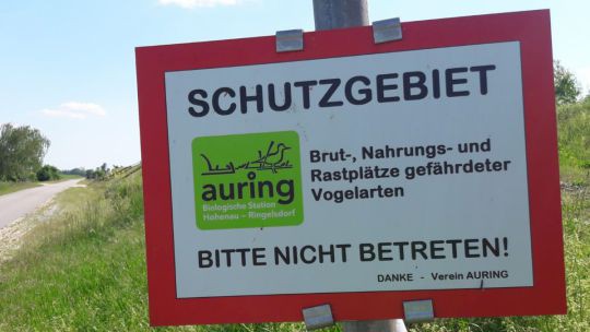 Wanderung in den March-Thaya-Auen am 24. Mai 2019