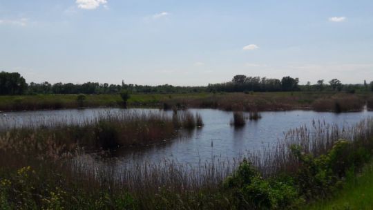 Wanderung in den March-Thaya-Auen am 24. Mai 2019